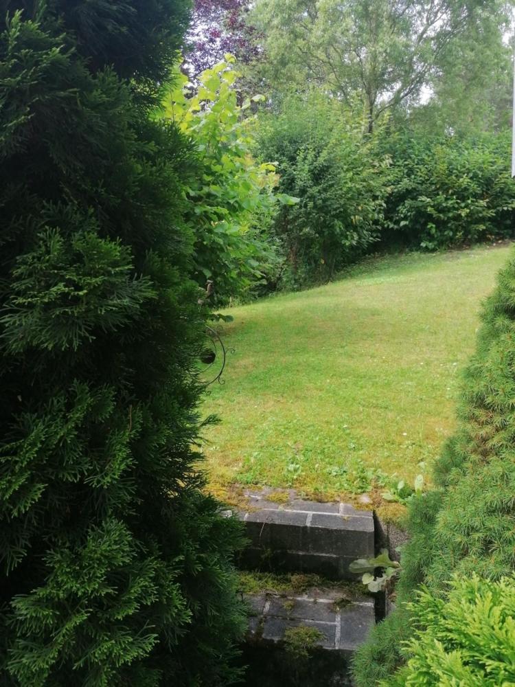 Fewo Grenzenlos In Ramsberg 플라인펠트 외부 사진